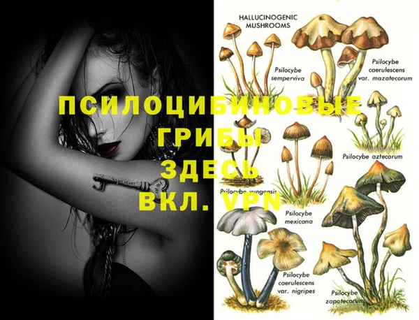 ГАЛЛЮЦИНОГЕННЫЕ ГРИБЫ Магадан