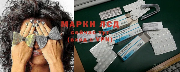 ГАЛЛЮЦИНОГЕННЫЕ ГРИБЫ Магадан