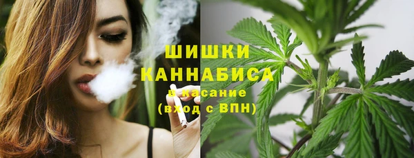 ГАЛЛЮЦИНОГЕННЫЕ ГРИБЫ Магадан